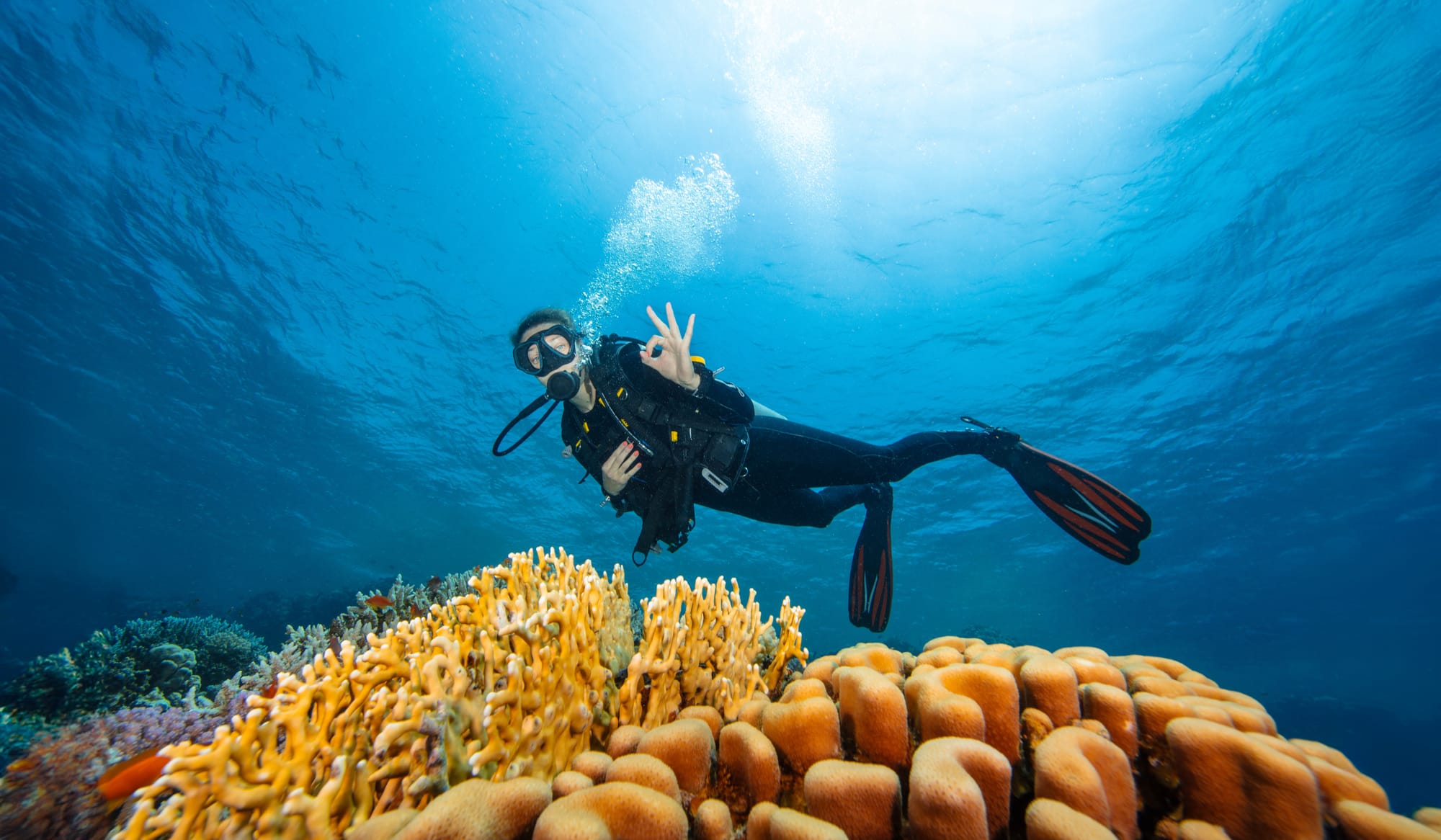 Diver showing the OK scuba hand sign over a colorful coral reef