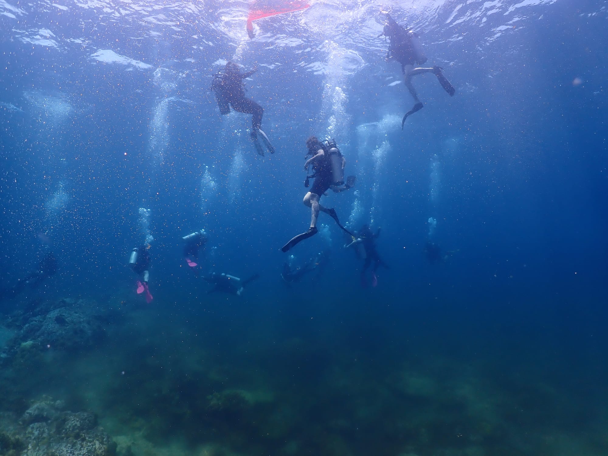 scuba divers ascending to the surface after a safety stop in tropical waters