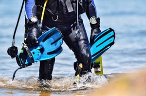 Diving fins: Everything you need to know