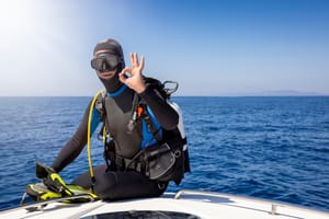 Diving suit: Everything you need to know