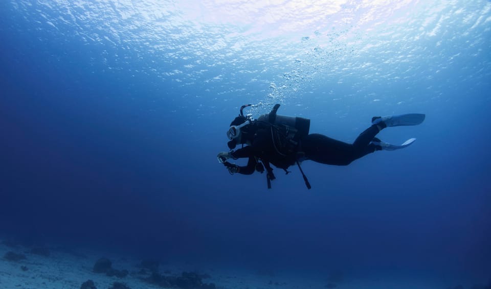 A scuba diver diving in the ocean in Okinawa